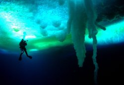 Encounters at the End of the World