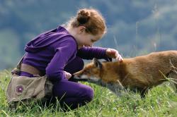 TheFoxAndTheChildPic#02