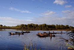 Ten Canoes