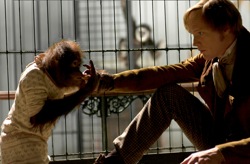 Creation: Charles Darwin (Paul Bettany)