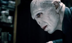 Harry Potter and the Deathly Hallows Part 1: Lord Voldemort (Ralph Fiennes)