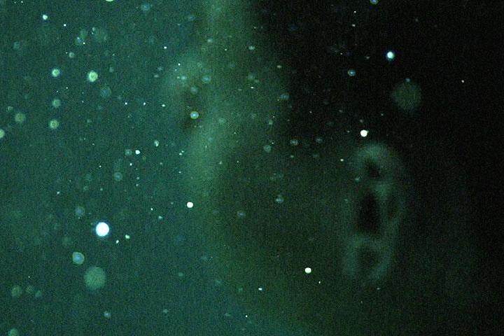 The Possibilities Are Endless