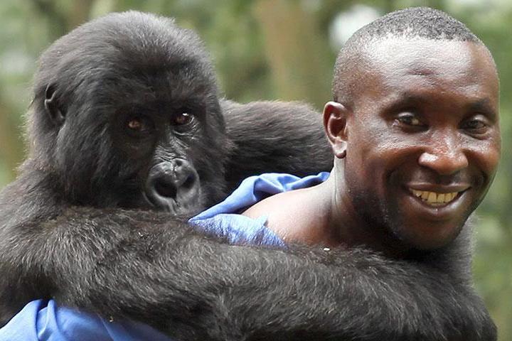 Virunga
