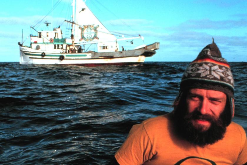 Bob Hunter in How to Change the World